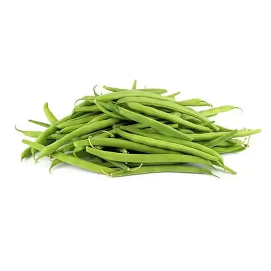 Haricot vert